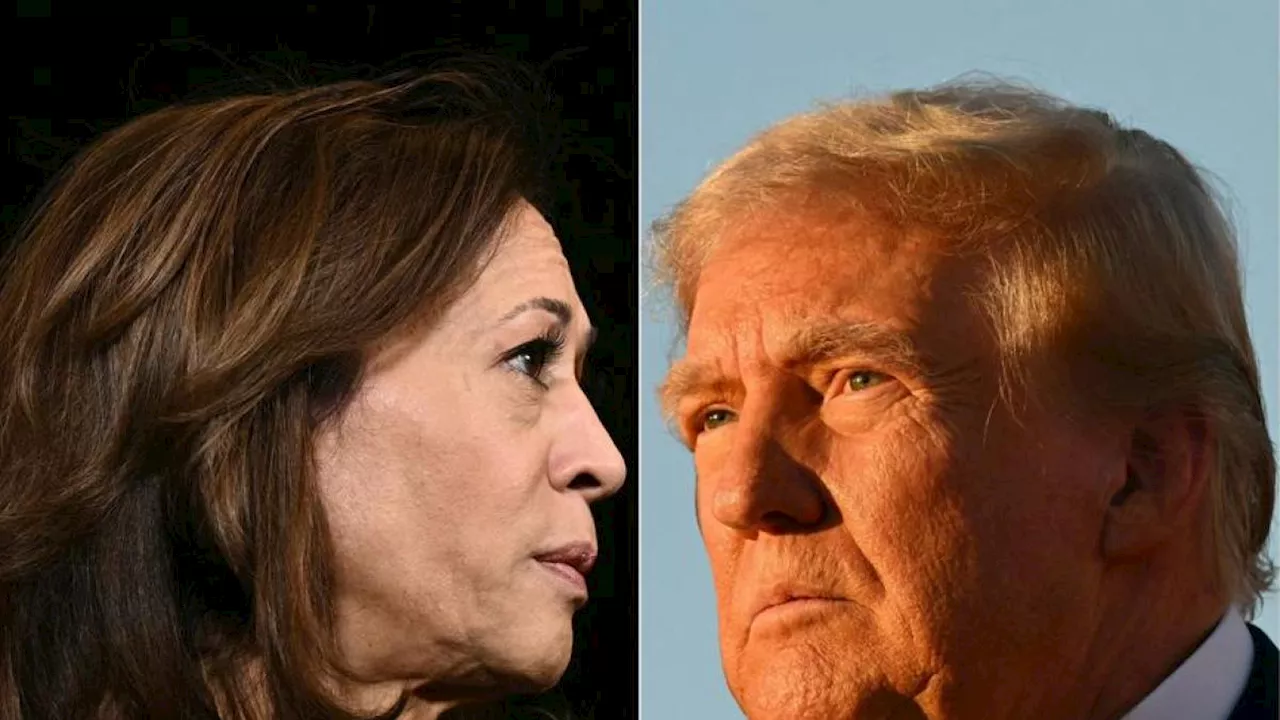 Kamala e Donald, punti di forza e di debolezza dei candidati alla Casa Bianca