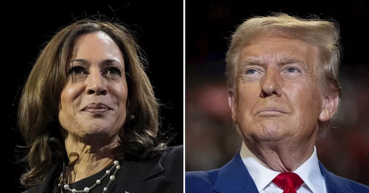 America reaches election day and a stark choice between Trump and Harris