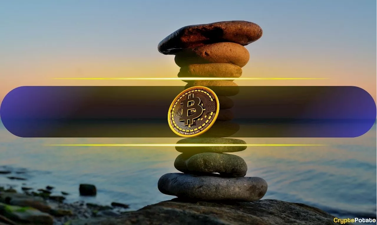 Electrifying Week: Bitcoin Sees Muted Volatility as Investors Await US Election Outcome (Bitfinex)