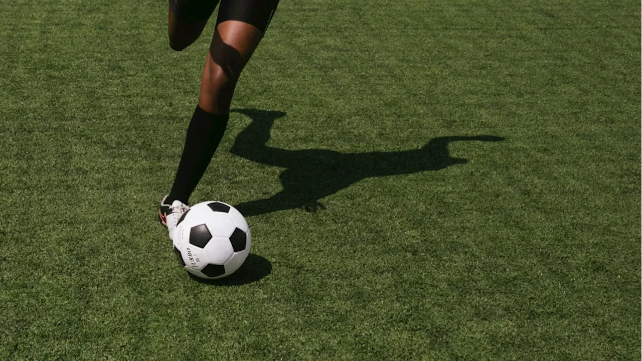 Brazilian police investigate fans after pig's head thrown onto the field during soccer match