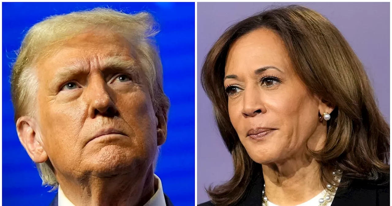 Dødt løp mellom Trump og Harris: – Too close to call