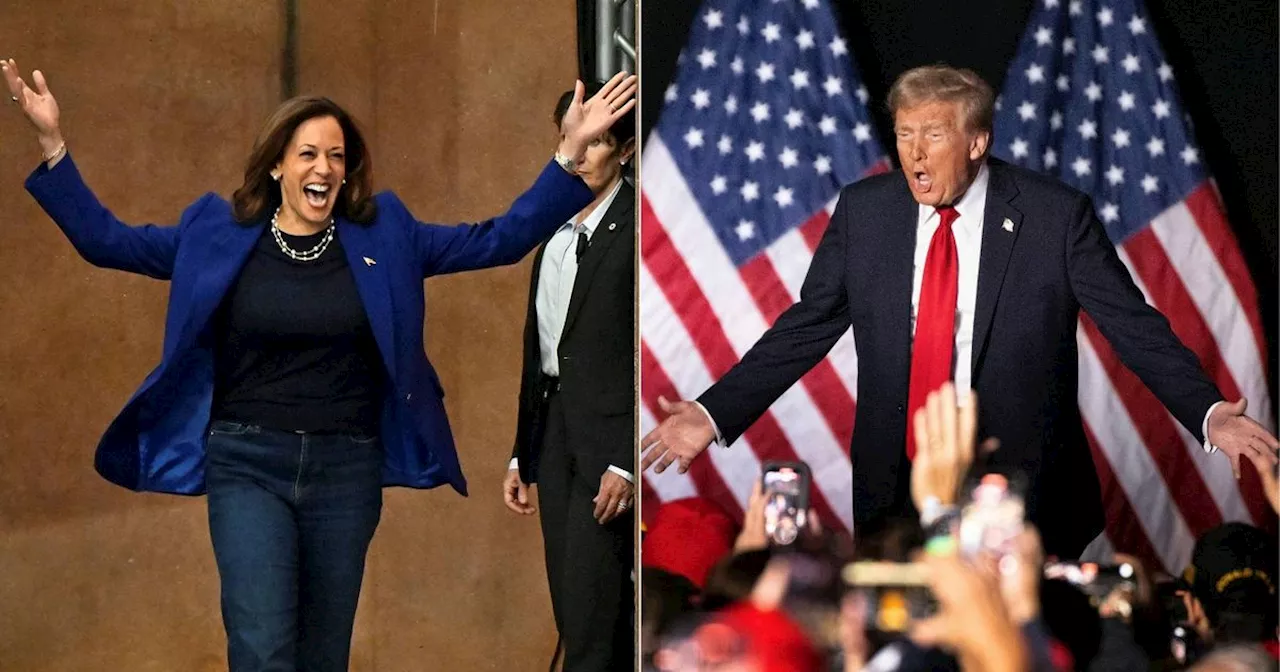 Americans go to the polls in US election as Donald Trump takes on Kamala Harris