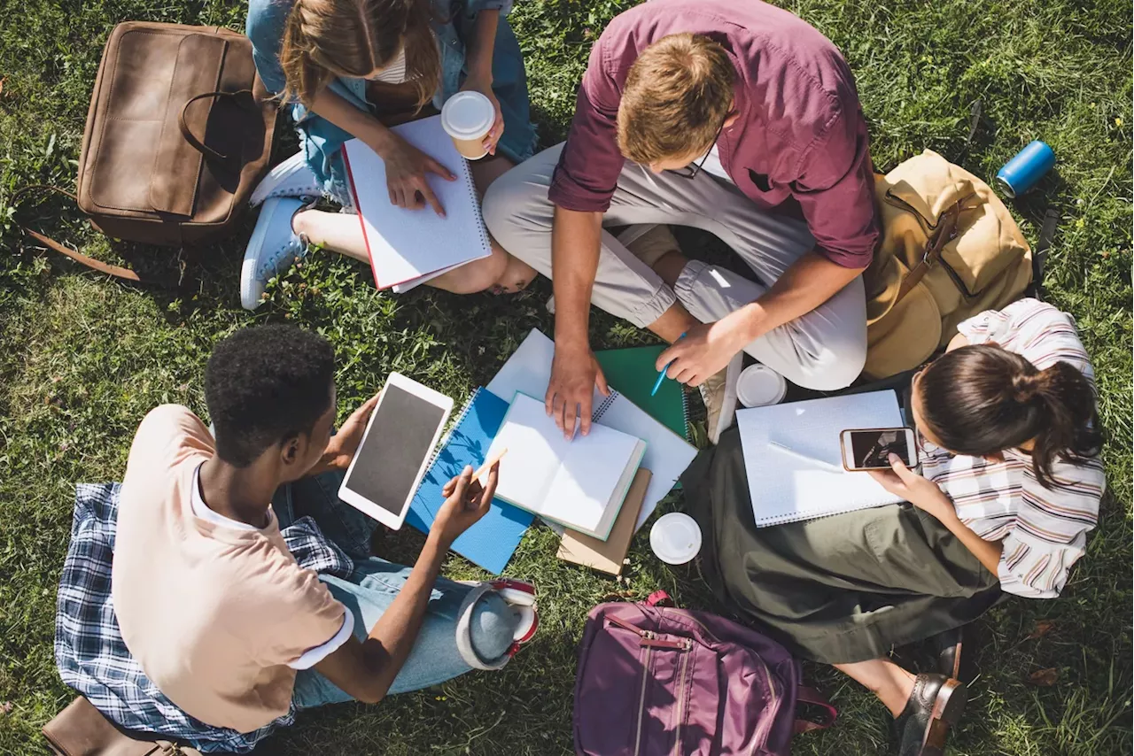 Check on conservative college students on Election Day