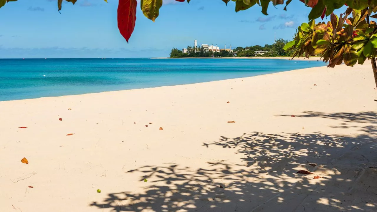 Im Meer vor Barbados: Verschollener Ring nach 47 Jahren wieder aufgetaucht