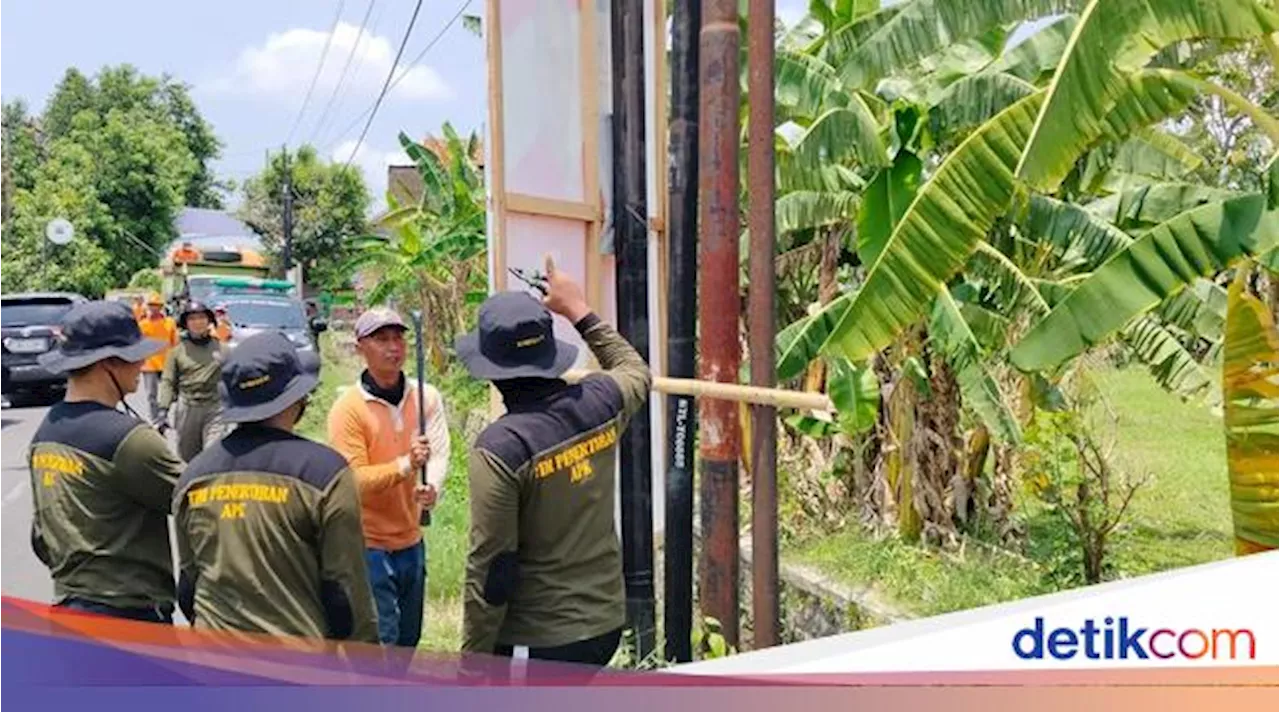 Bawaslu Bantul Tertibkan 2.226 APK, Rata-rata Dipasang di Pohon-Tiang Listrik