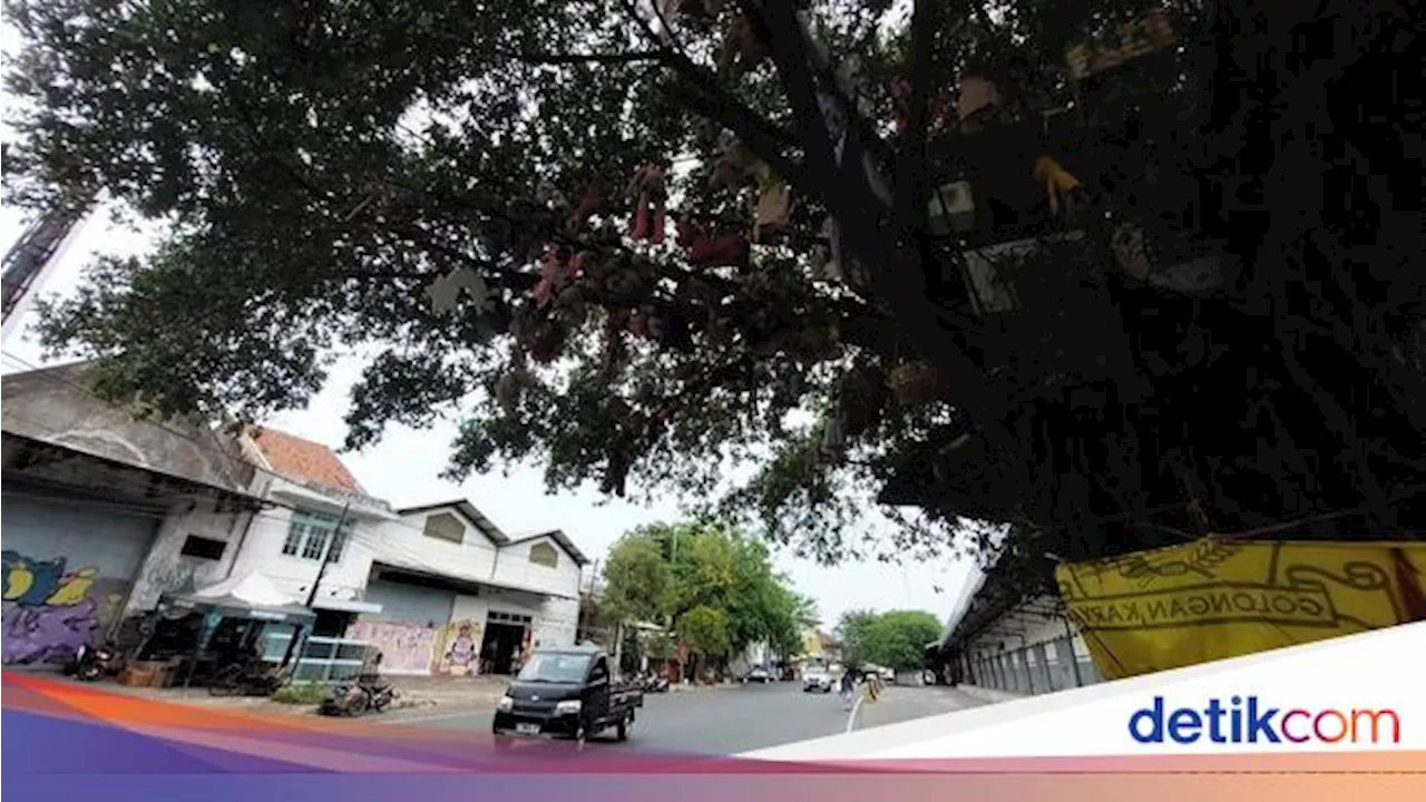 Menguak Asal-usul Boneka Tergantung di Pohon Beringin Cirebon