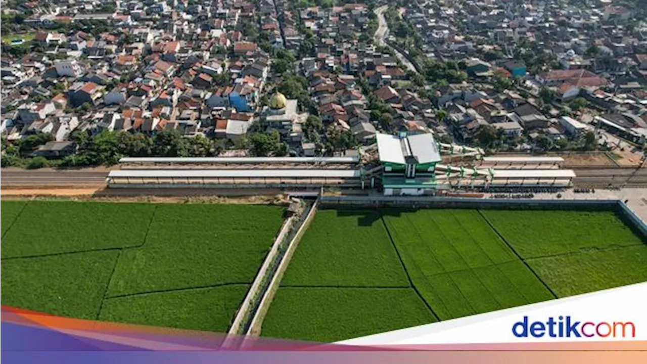 Banyak Alih Fungsi Lahan, RI Butuh 3 Juta Ha Sawah Baru