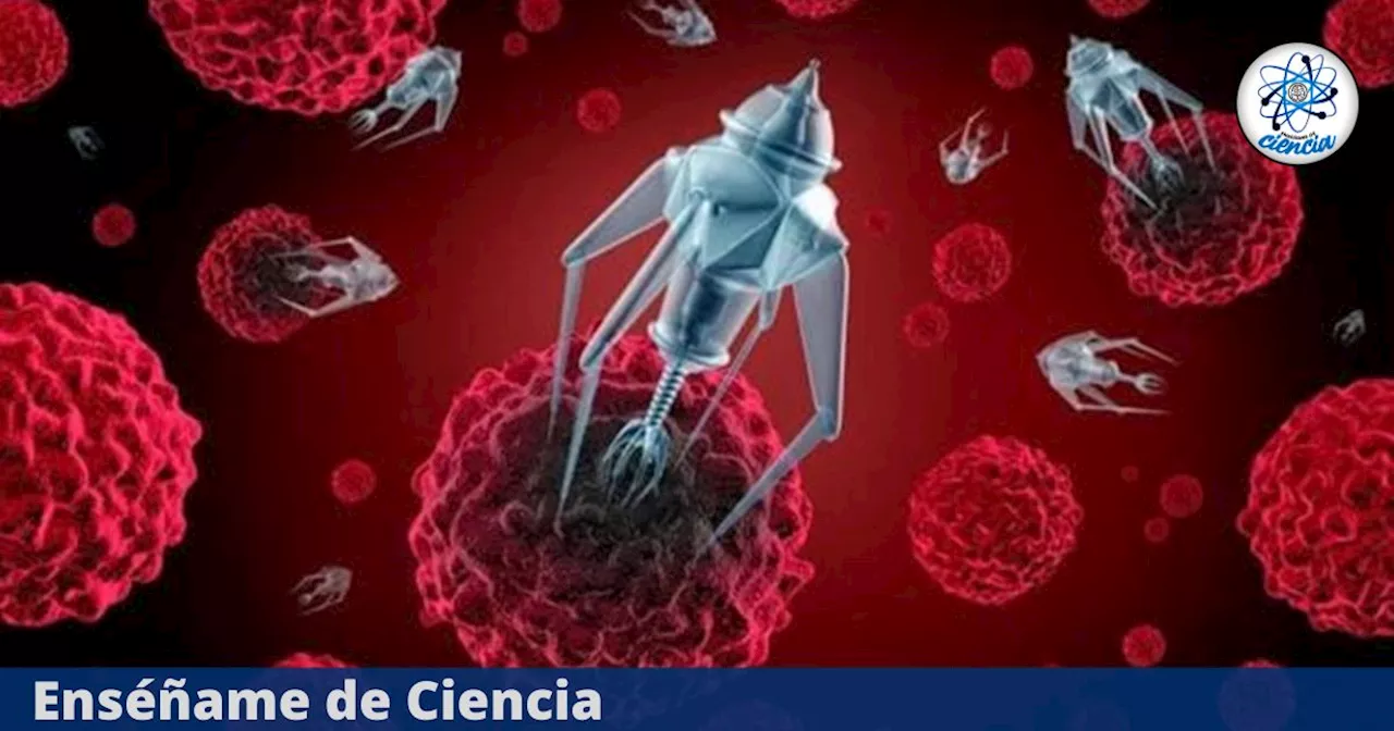 Nanorobots contra el cáncer: Investigadores desarrollan innovador método para destruir las células cancerosas