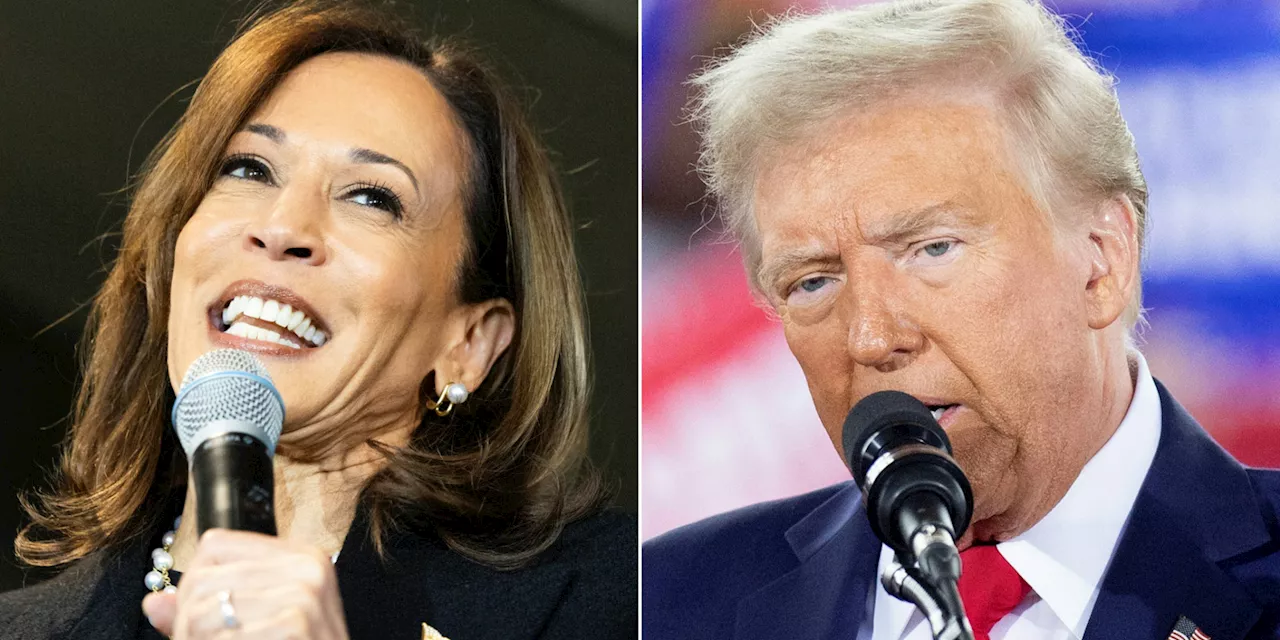 Présidentielle américaine : Kamala Harris et Donald Trump ont levé 15,9 milliards de dollars, une somme...