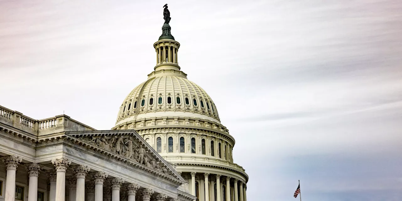 Présidentielle américaine : que se passerait-il en cas d'égalité entre Kamala Harris et Donald Trump ?