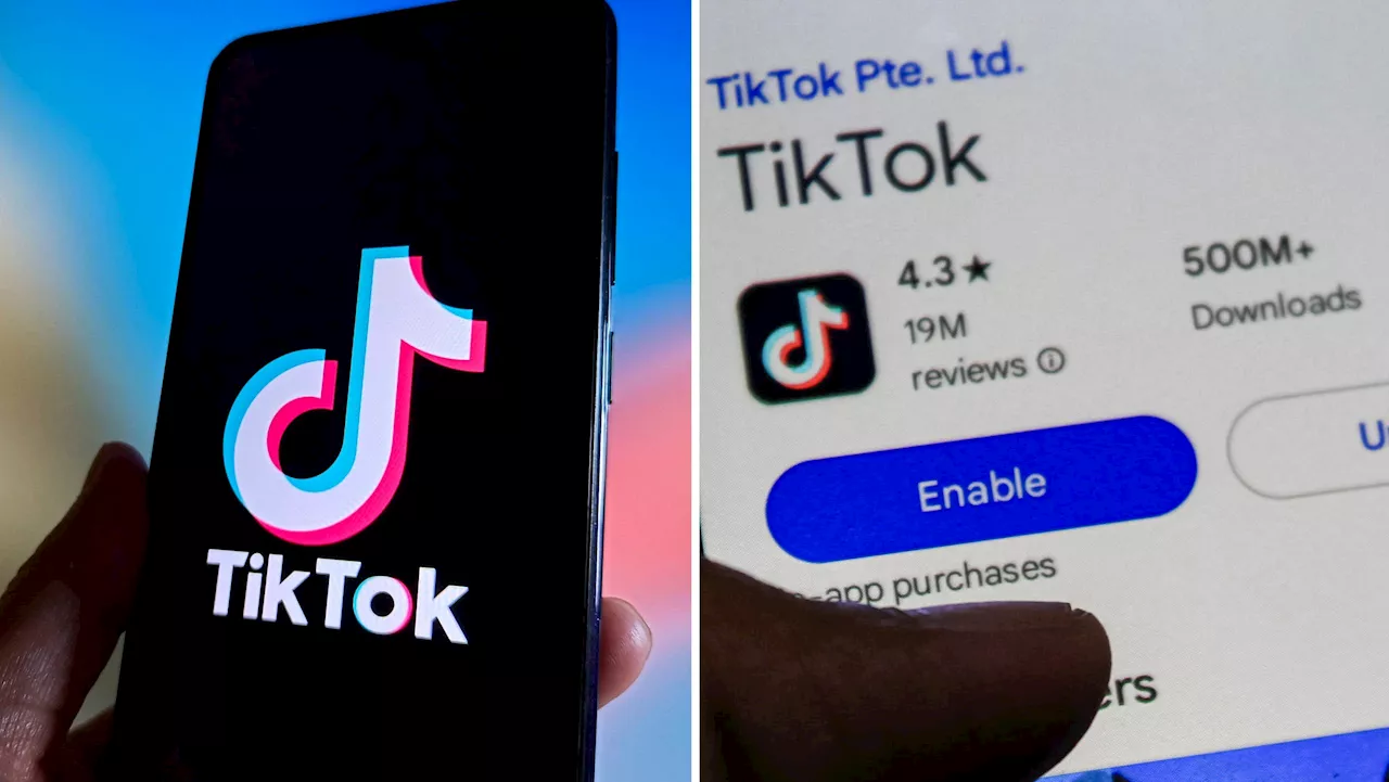 Läckta dokument visar: Så mycket tjänar Tiktok