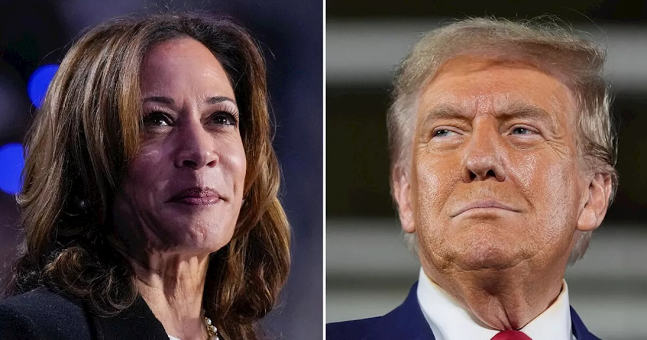 Live election updates: Trump takes early lead over Harris as some polls close