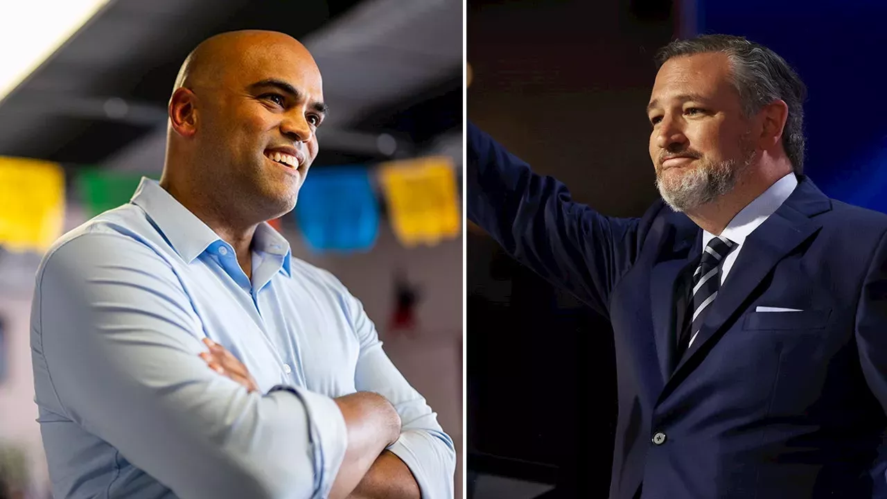 Ted Cruz, Colin Allred vying for US Senate seat in Texas Election