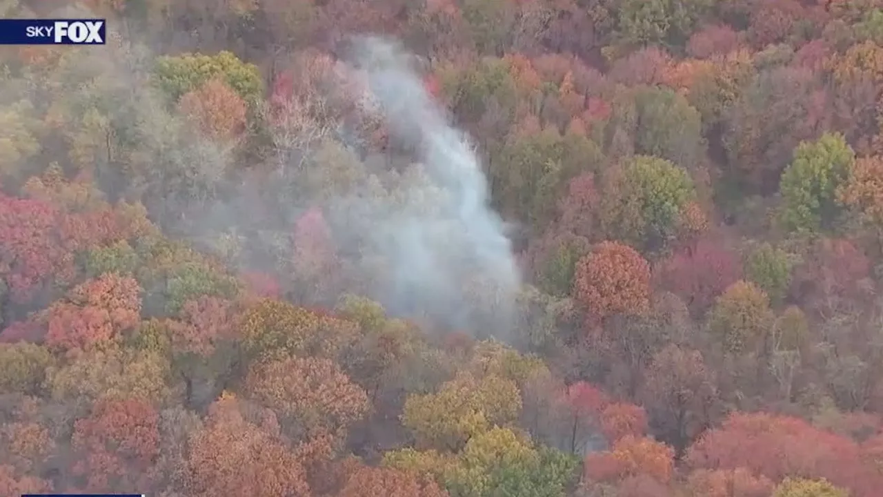 FDNY battles rare Bronx brush fire amid NYC drought warning