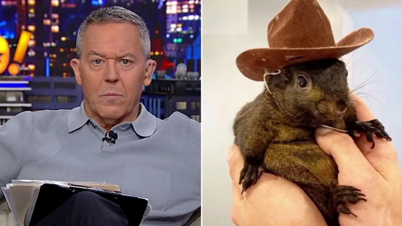 GREG GUTFELD: You red pill Americans by raiding their homes and murdering their pets