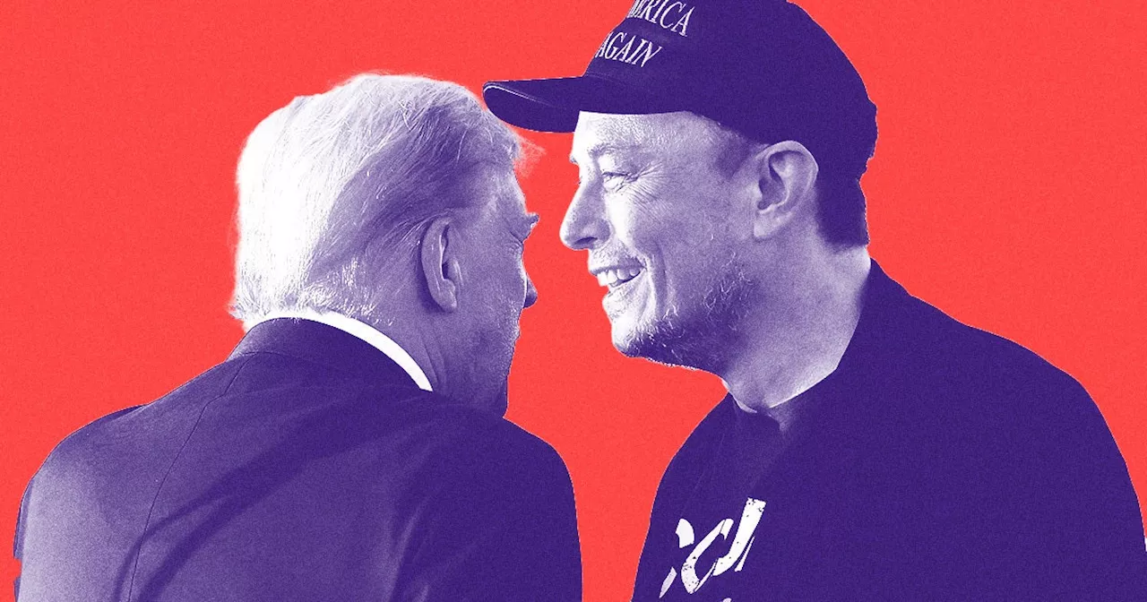 Elon Musk and Donald Trump Are Spending Election Night Together