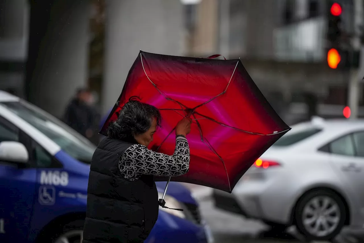 Lights are back on for almost all BC Hydro customers who lost power in strong winds