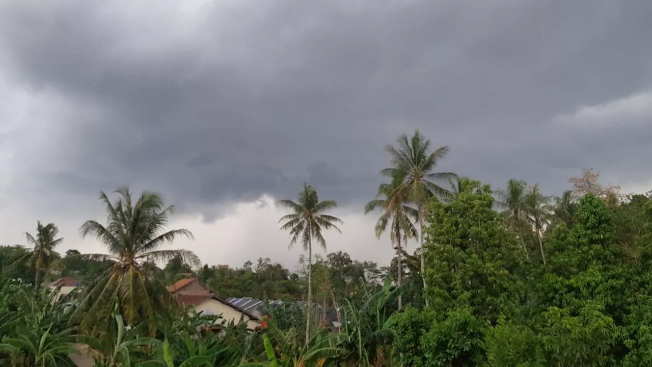 Angin Kencang dan Puting Beliung Ancam Lampung, Mitigasi Jadi Kunci