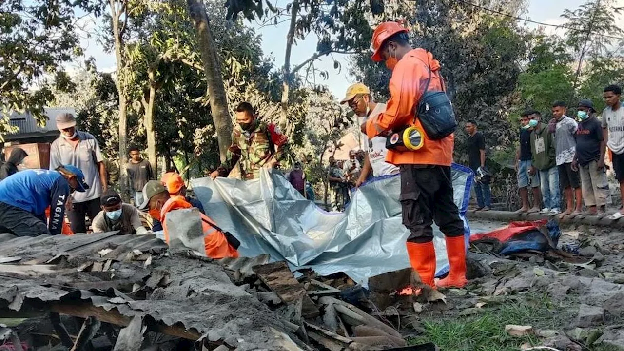 Tiga Posko Dibangun, Distribusi Bantuan Erupsi Gunung Lewotobi Laki-laki Belum Merata