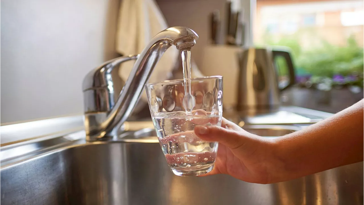 Bakterien in Klosterneuburg - Trinkwasser verunreinigt! Stadt warnt Bevölkerung