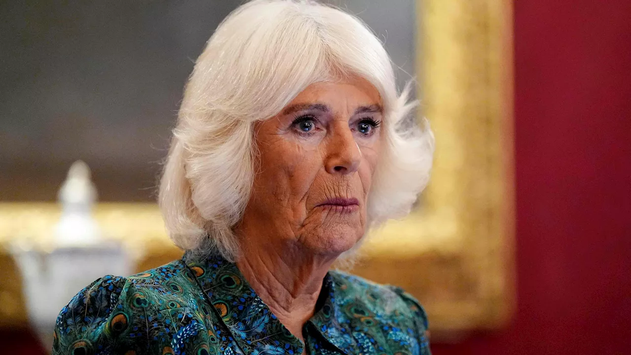  Jetzt trifft es Camilla! Wegen Krankheit alles abgesagt