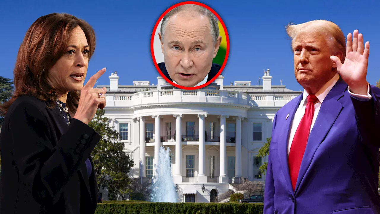  USA zittern vor Putin-Trollen bei der Wahl des Jahres