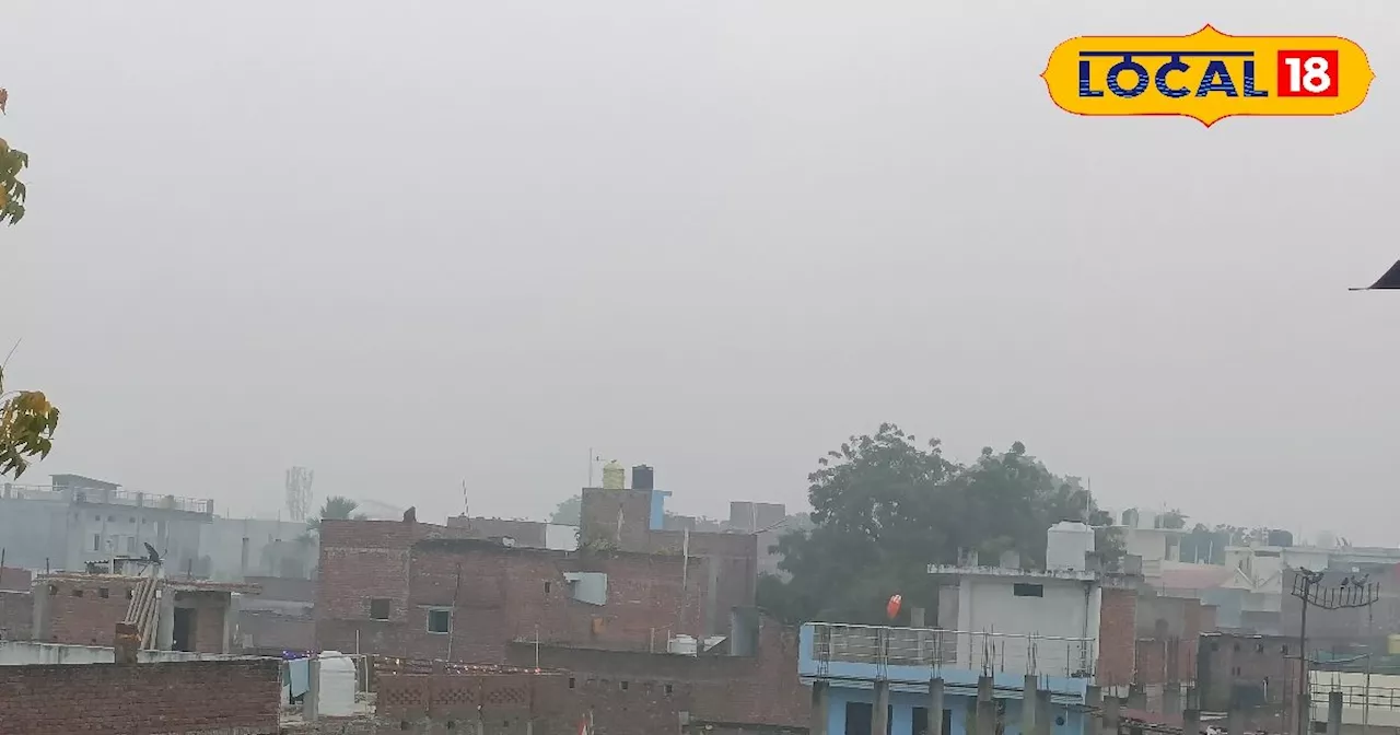 Prayagraj Weather Today: प्रयागराज में दिवाली के बाद छाया चारों ओर घना कोहरा, न्यूनतम तापमान पहुंचा 17 डिग्...