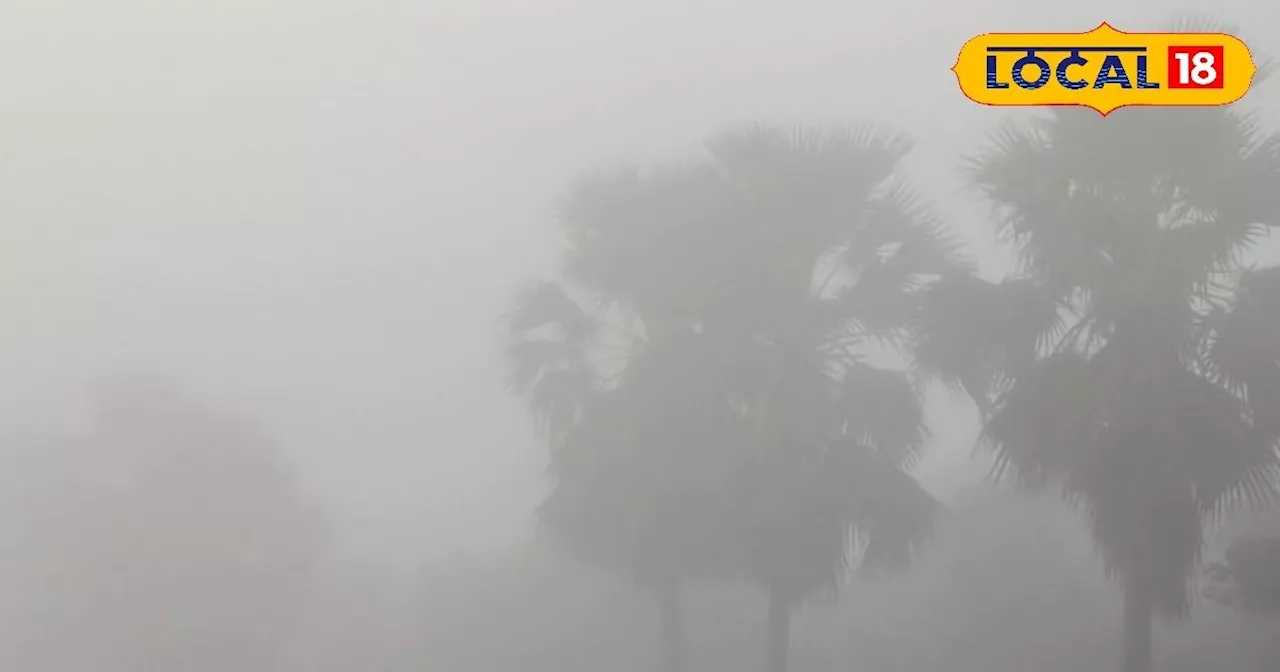 UP Weather Today: यूपी में ठंड ने दी दस्तक, रात हुई ठंडी, आज इन जिलों में रहेगा घना कोहरा, IMD ने जारी किया...