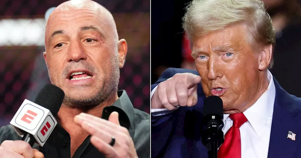 Joe Rogan Announces 11thHour Presidential Endorsement 2024 Elections