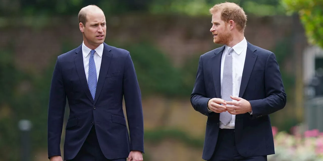 Prince William’s Quotes About Princess Diana Were a Subtle Harry Olive Branch