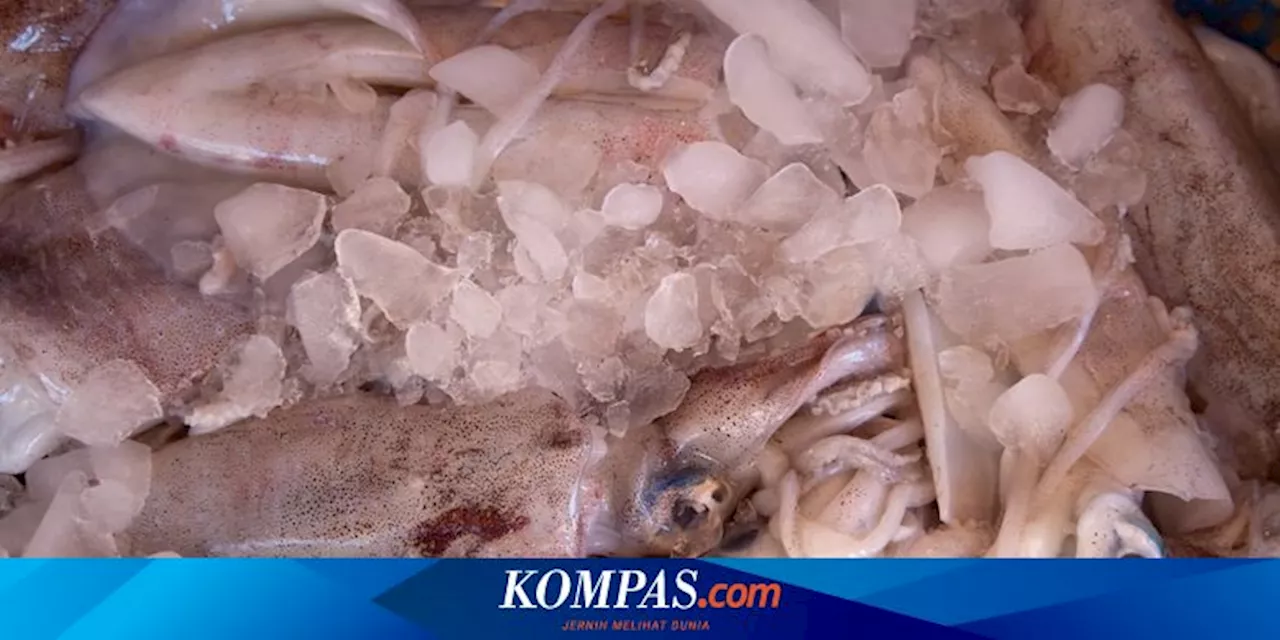 Cara Menyimpan Cumi di Kulkas, Tambahkan Jeruk Nipis atau Lemon