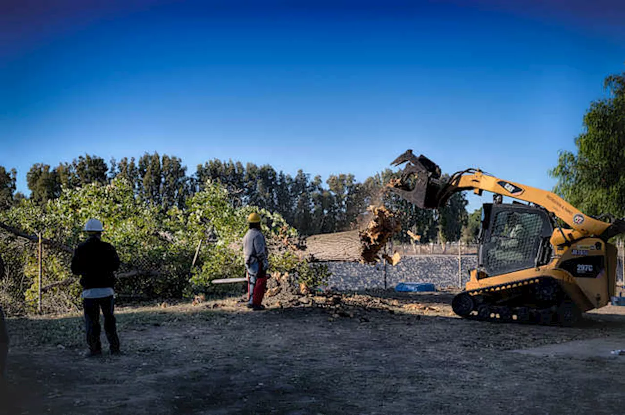 Another round of powerful, dry winds to raise wildfire risk across California