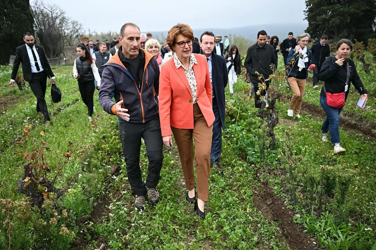 Agriculteurs en difficulté: la ministre annonce des aides de trésorerie