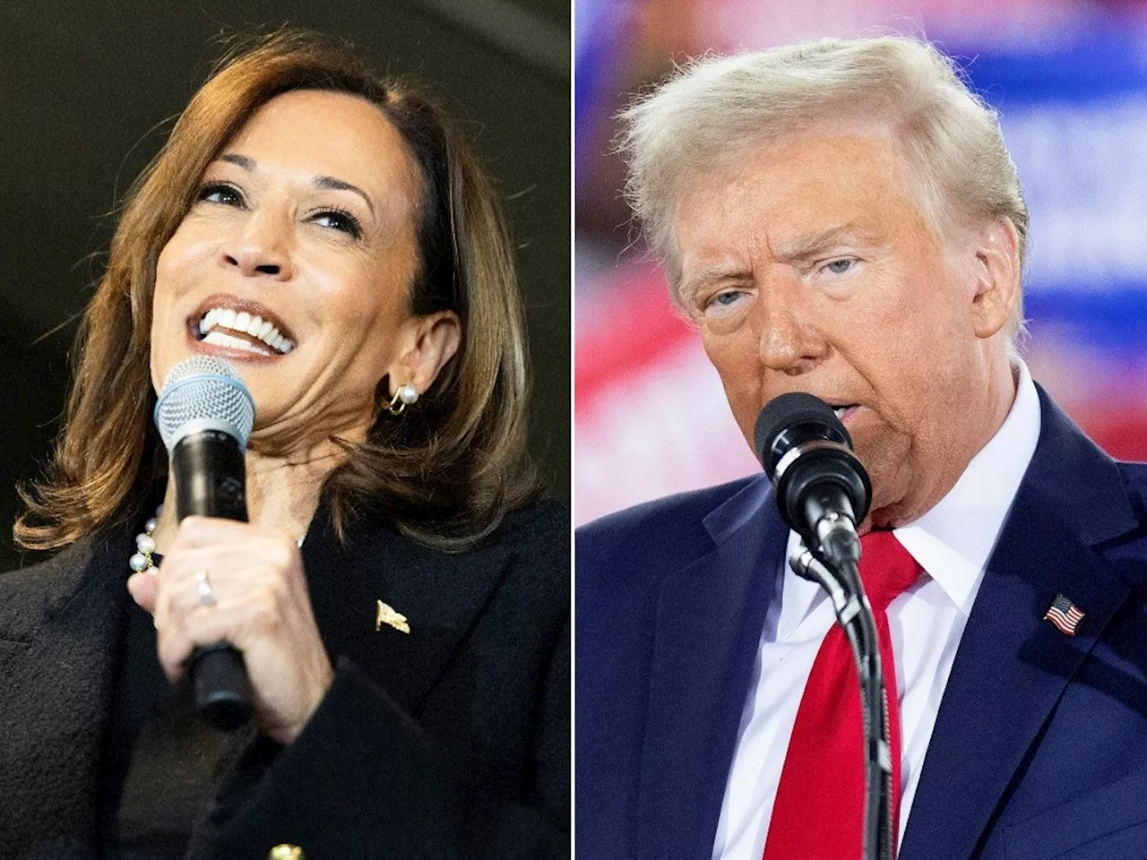 Cerrada contienda entre Kamala Harris y el republicano en siete estados claves