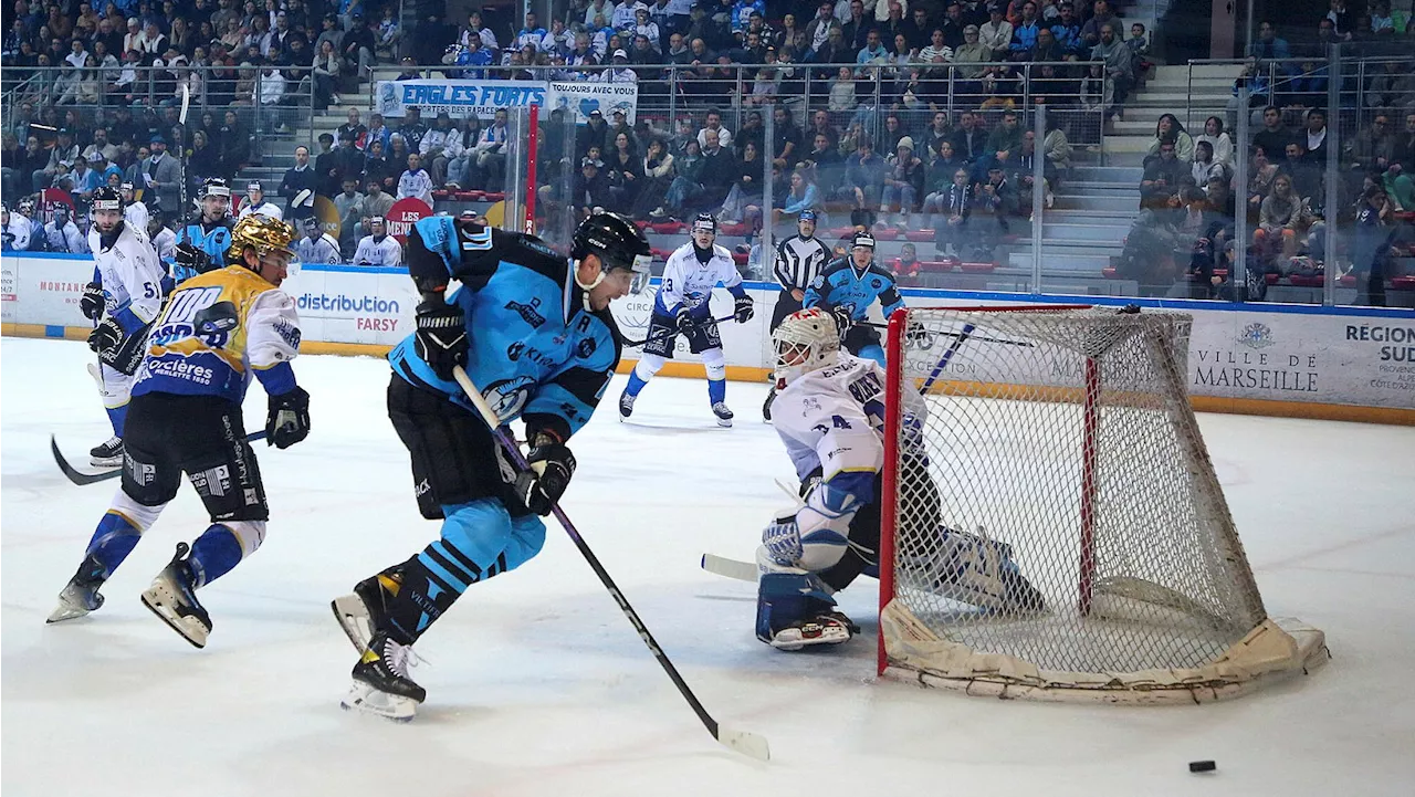 Hockey : 'Une saison, ce n'est pas un sprint', les Spartiates à la relance à Chamonix