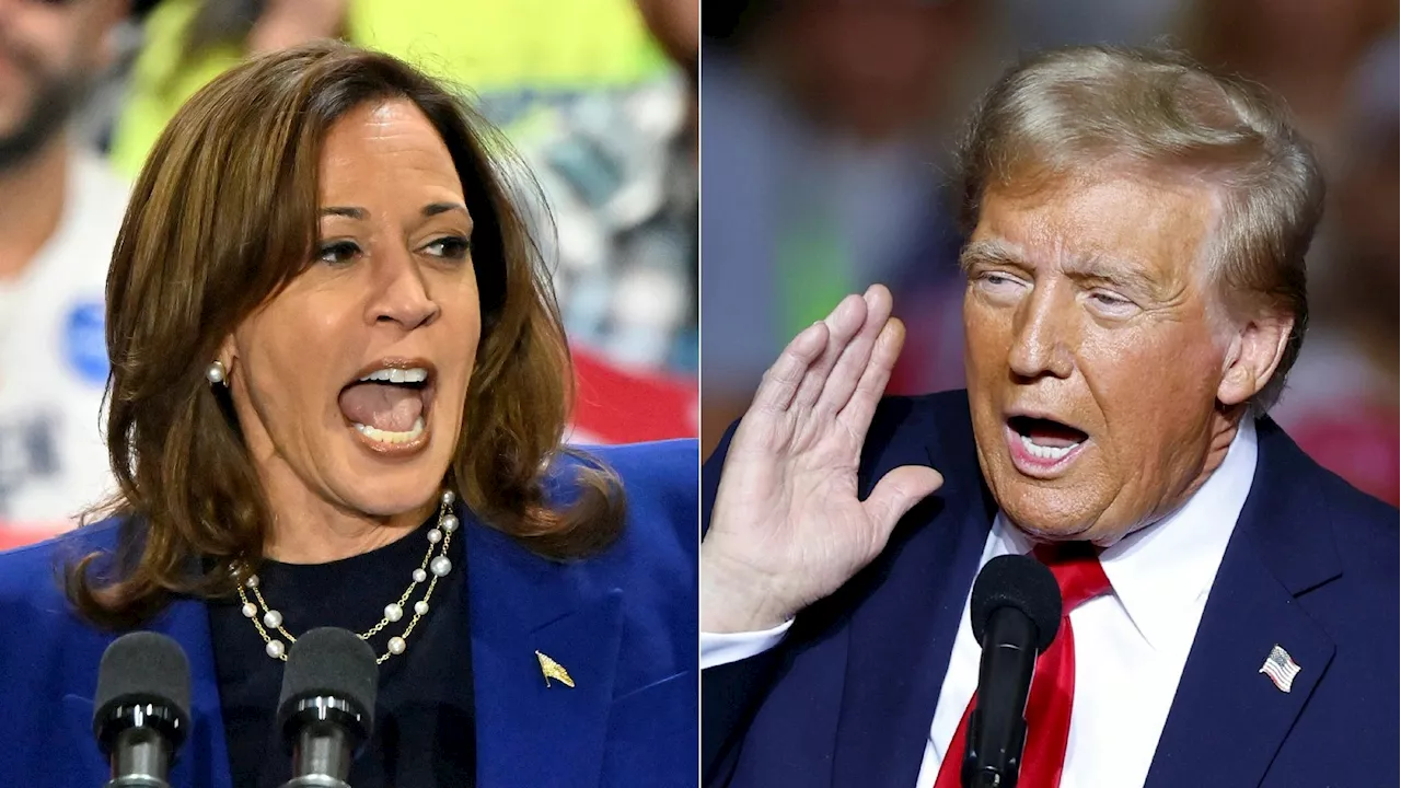 Présidentielle américaine : Kamala Harris ou Donald Trump à la Maison-Blanche, que disent les sondages ?