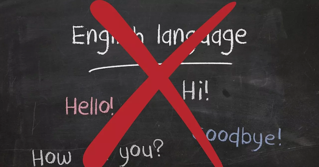 ¡No es el inglés! Este es el idioma mejor pagado en México