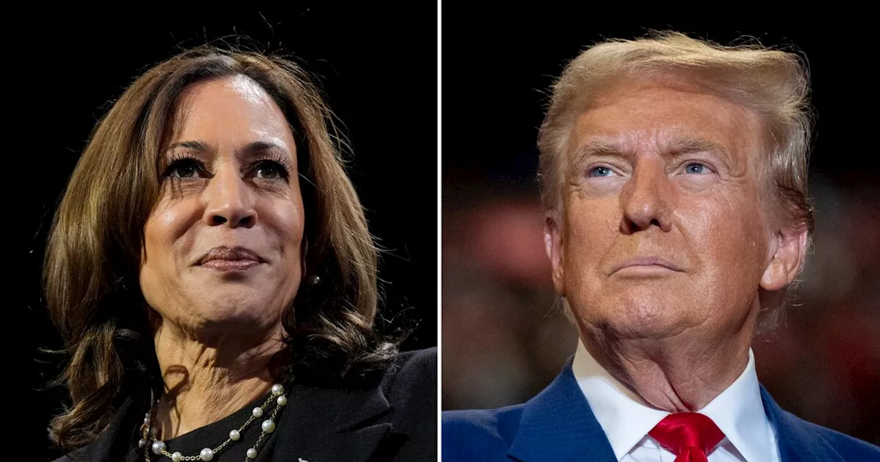 EEUU enfrenta una crucial decisión entre Trump y Harris en el día de la elección