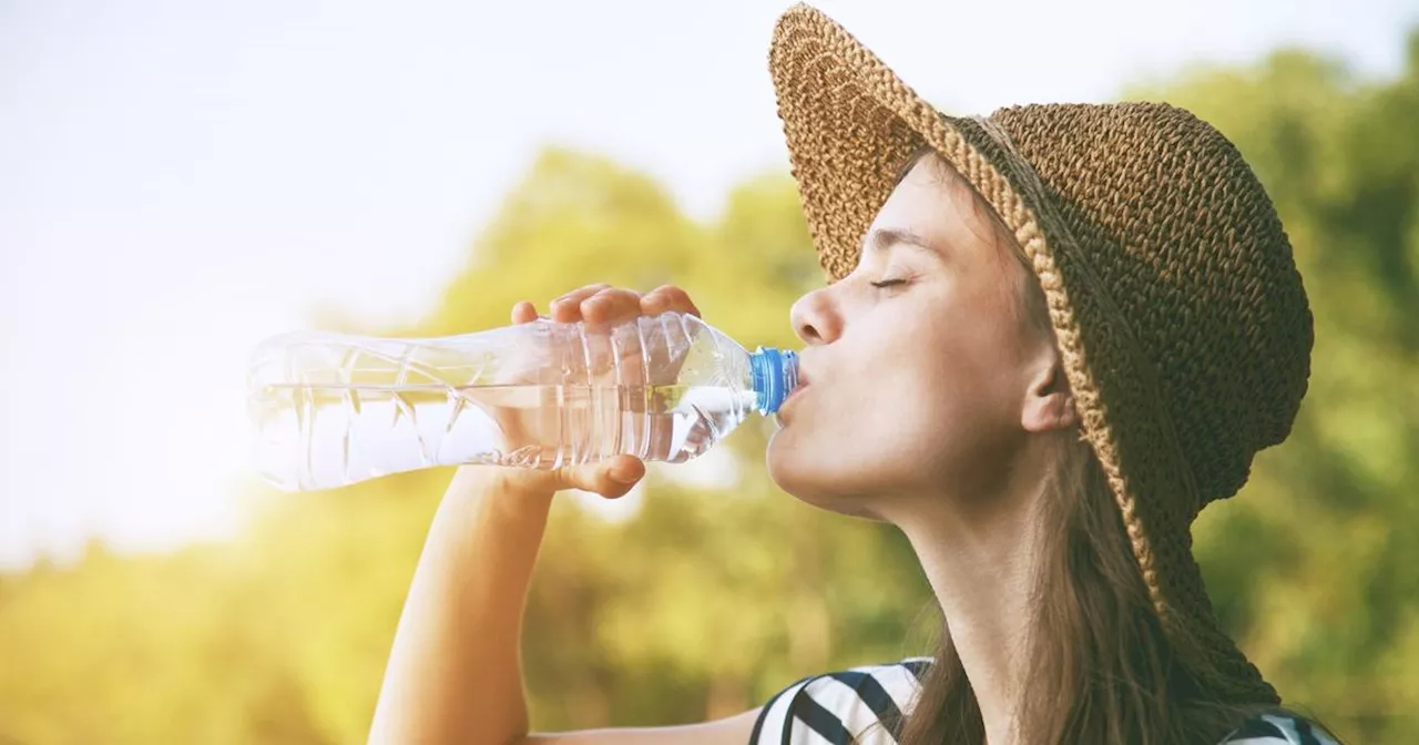 Pourquoi boire de l'eau est un geste essentiel au quotidien