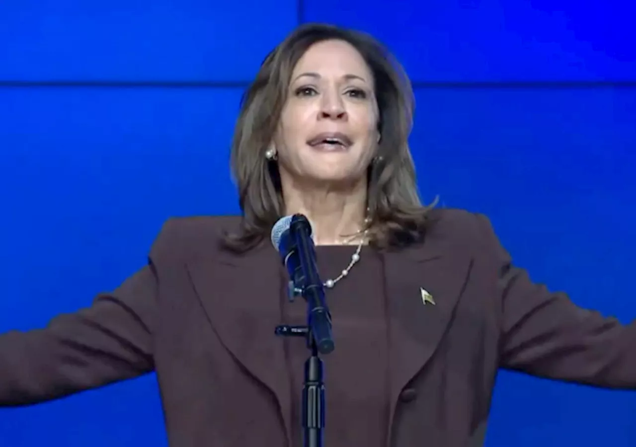 Harvard Students Campaign for Kamala Harris in Michigan in Final Push