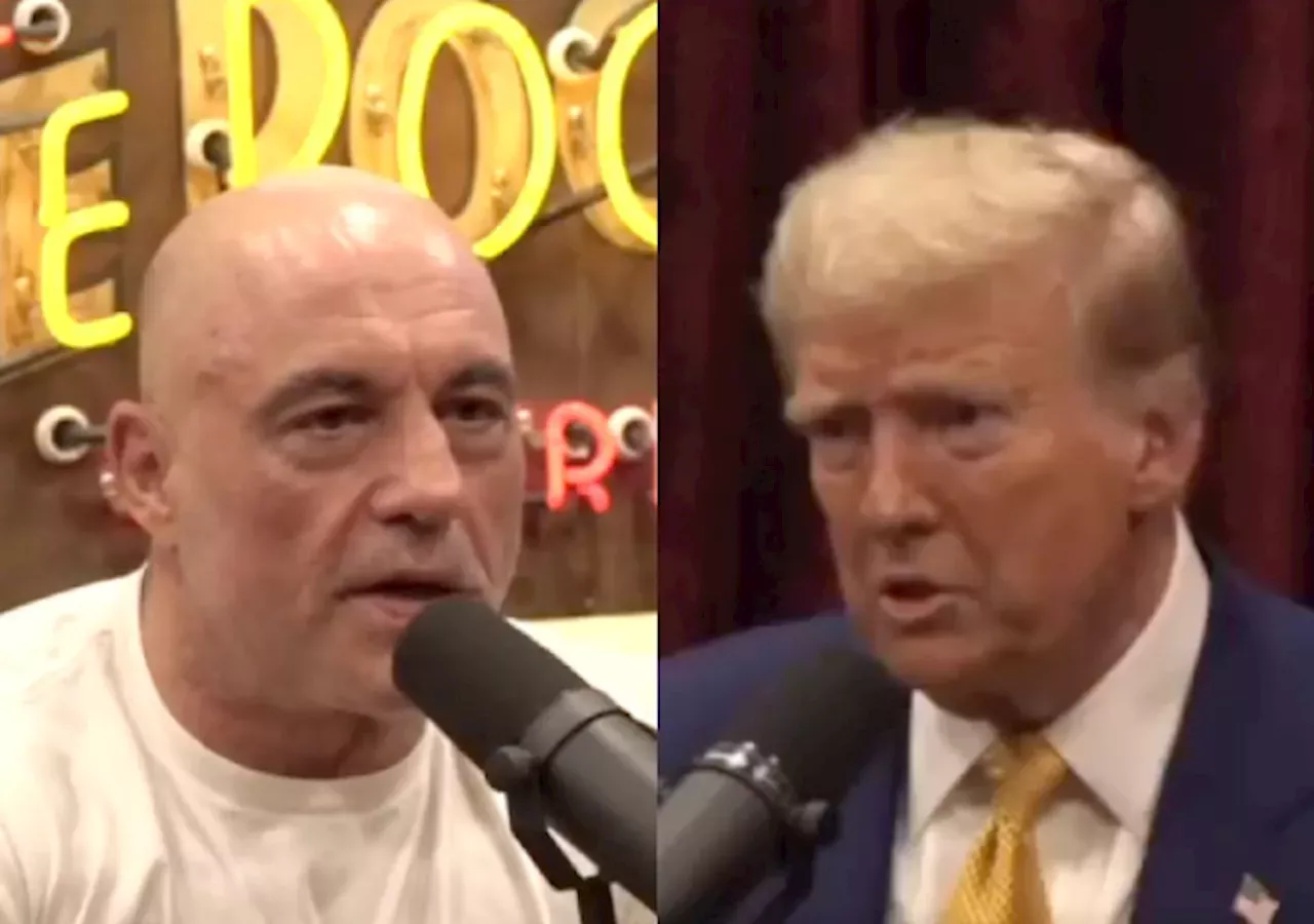 Joe Rogan Endorses Trump After Interviewing Elon Musk Donald Trump