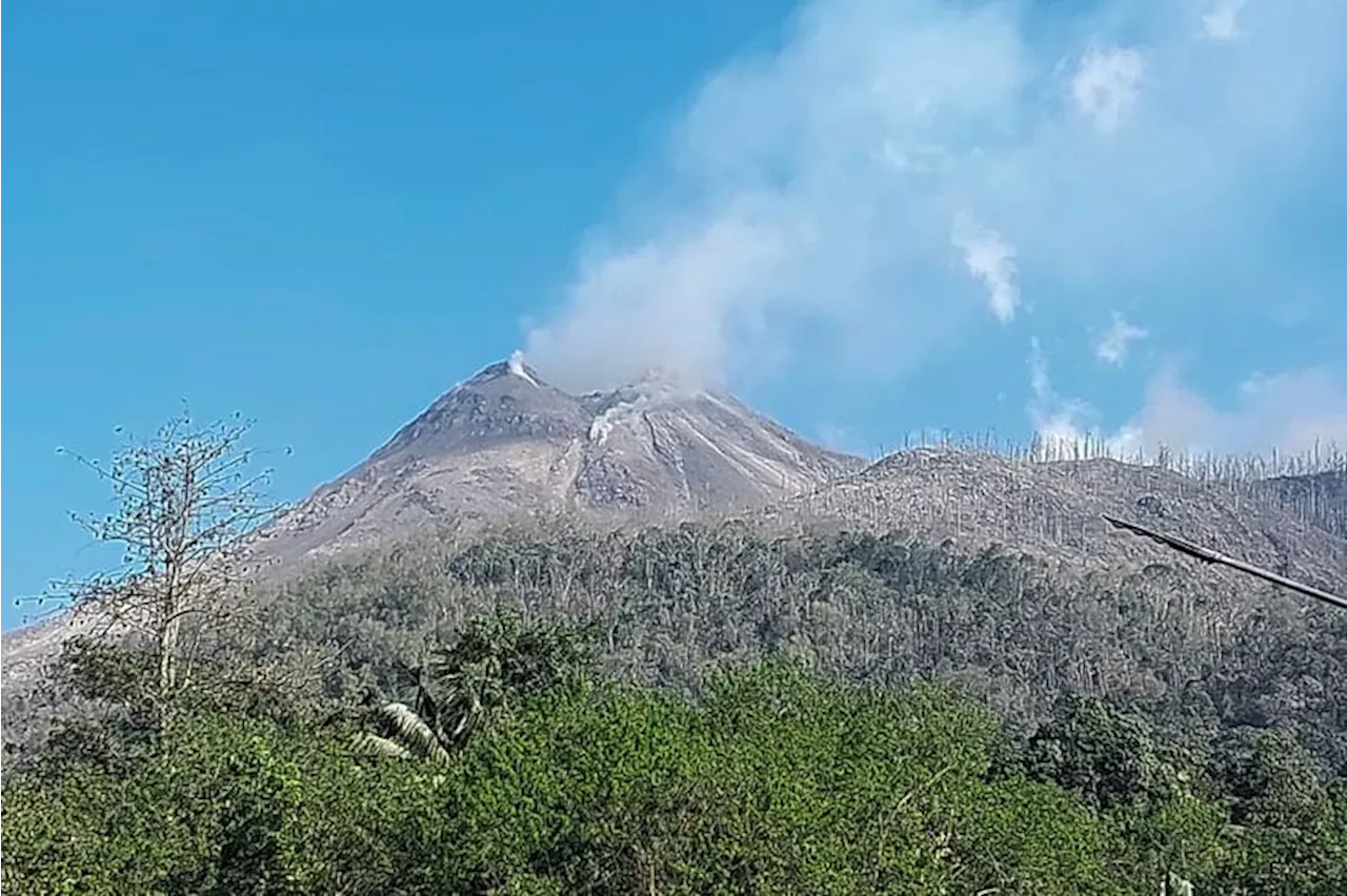 2.472 Jiwa Mengungsi Akibat Erupsi Gunung Lewotobi Laki-Laki