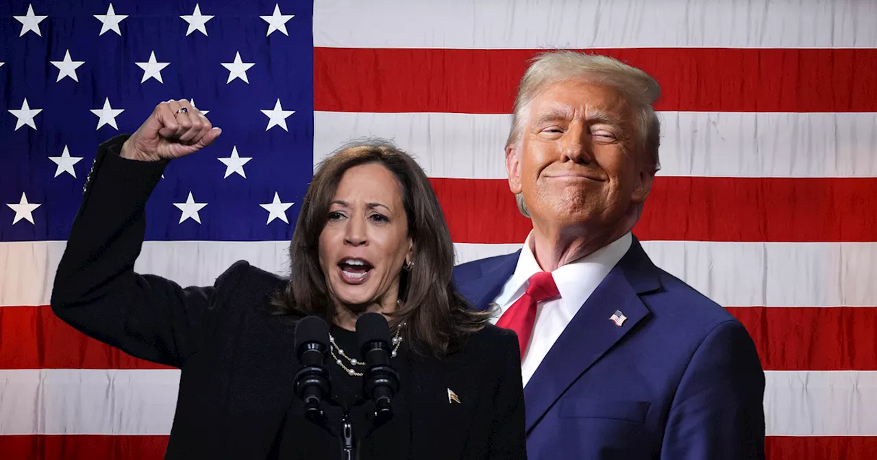 US election 2024 LIVE updates as America decides between Donald Trump and Kamala Harris