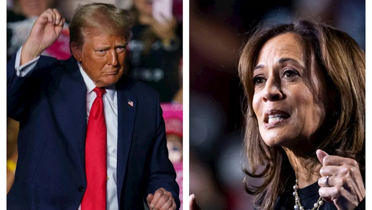 Présidentielle américaine : Donald Trump ou Kamala Harris, à quelle heure seront connus les résultats du scrut