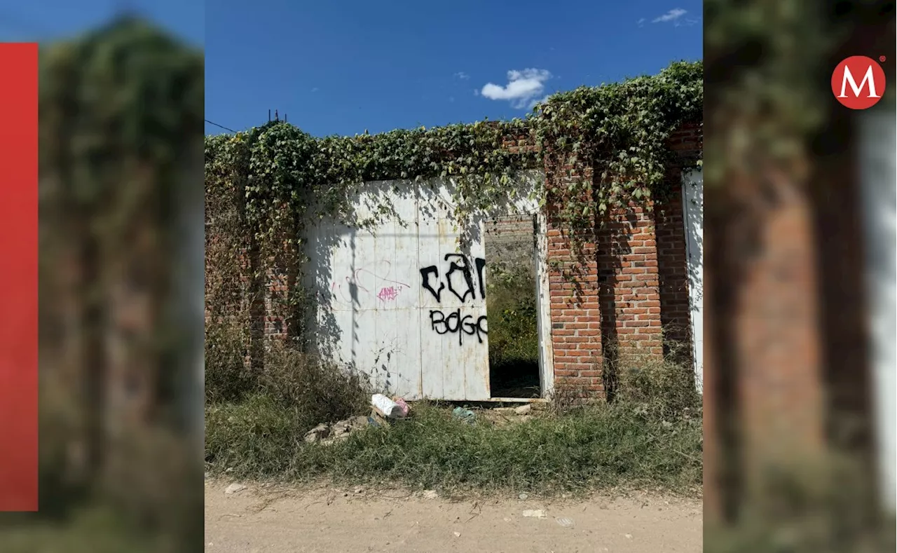 Al menos 19 fosas clandestinas localizadas en Jalisco durante 2024; nueve en Zapopan