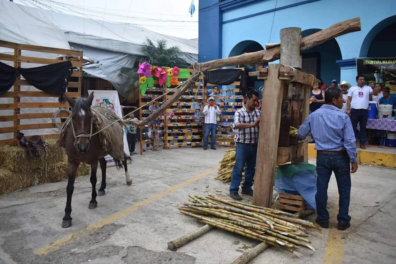 Realizarán Festival huasteco 2024 en San Felipe Orizatlán; conoce AQUÍ los detalles