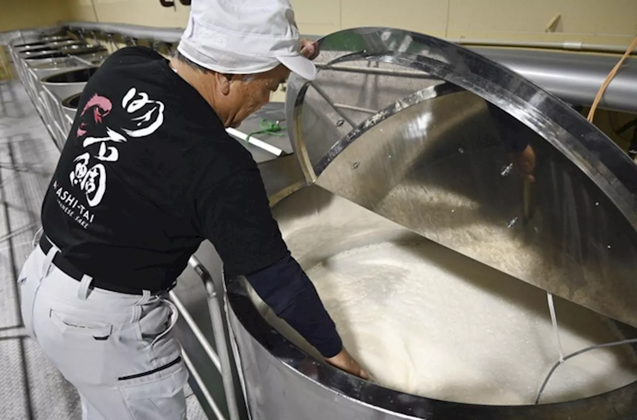 UNESCO to add Japan sake-brewing to intangible heritage list