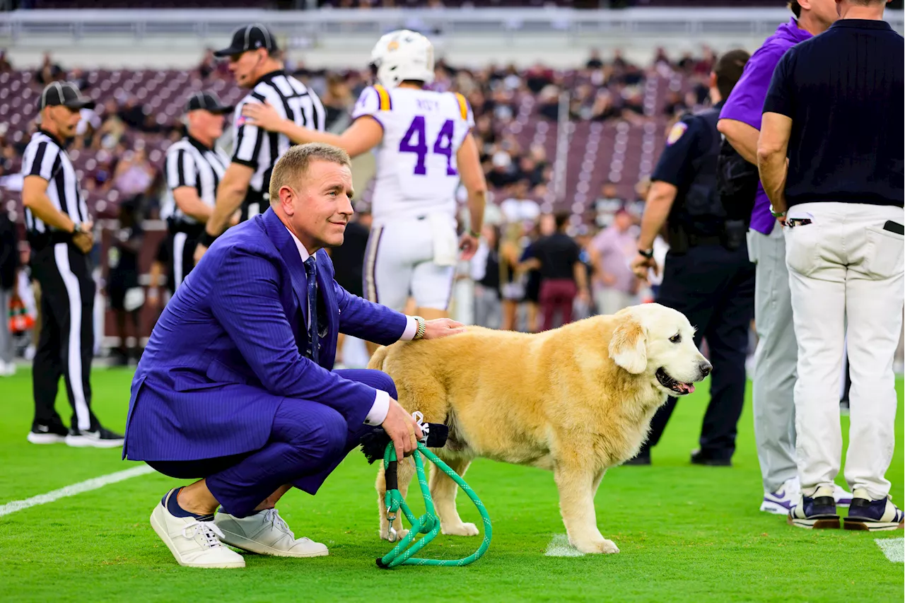 Kirk Herbstreit reveals his dog Ben is ‘getting worse and worse' amid cancer battle