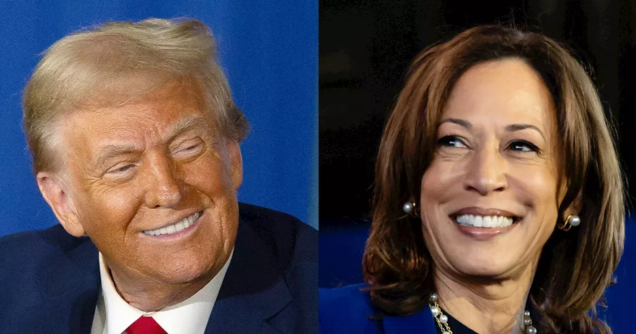 Election 2024 live updates Trump and Kamala Harris hold final rallies