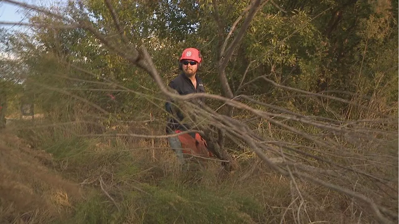 SA River Authority clears trees from river in prep for flooding